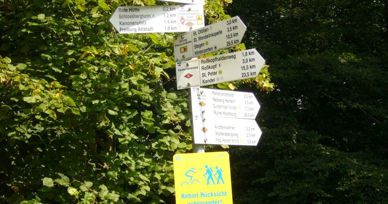 Twitter, una herramienta para la ciencia. ¿Dónde empezar, hacia dónde&nbsp;ir?