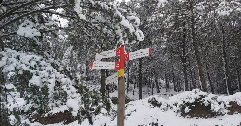 How to become a successful&nbsp;academic