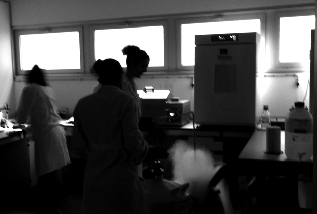 In vitro models of tissues. Key industry players in 2021.