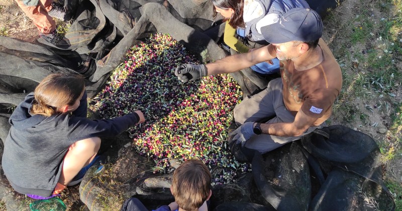 Building a healthy team through collaborative interactions